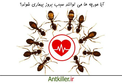 آیا مورچه منجر به بیماری می شوند؟